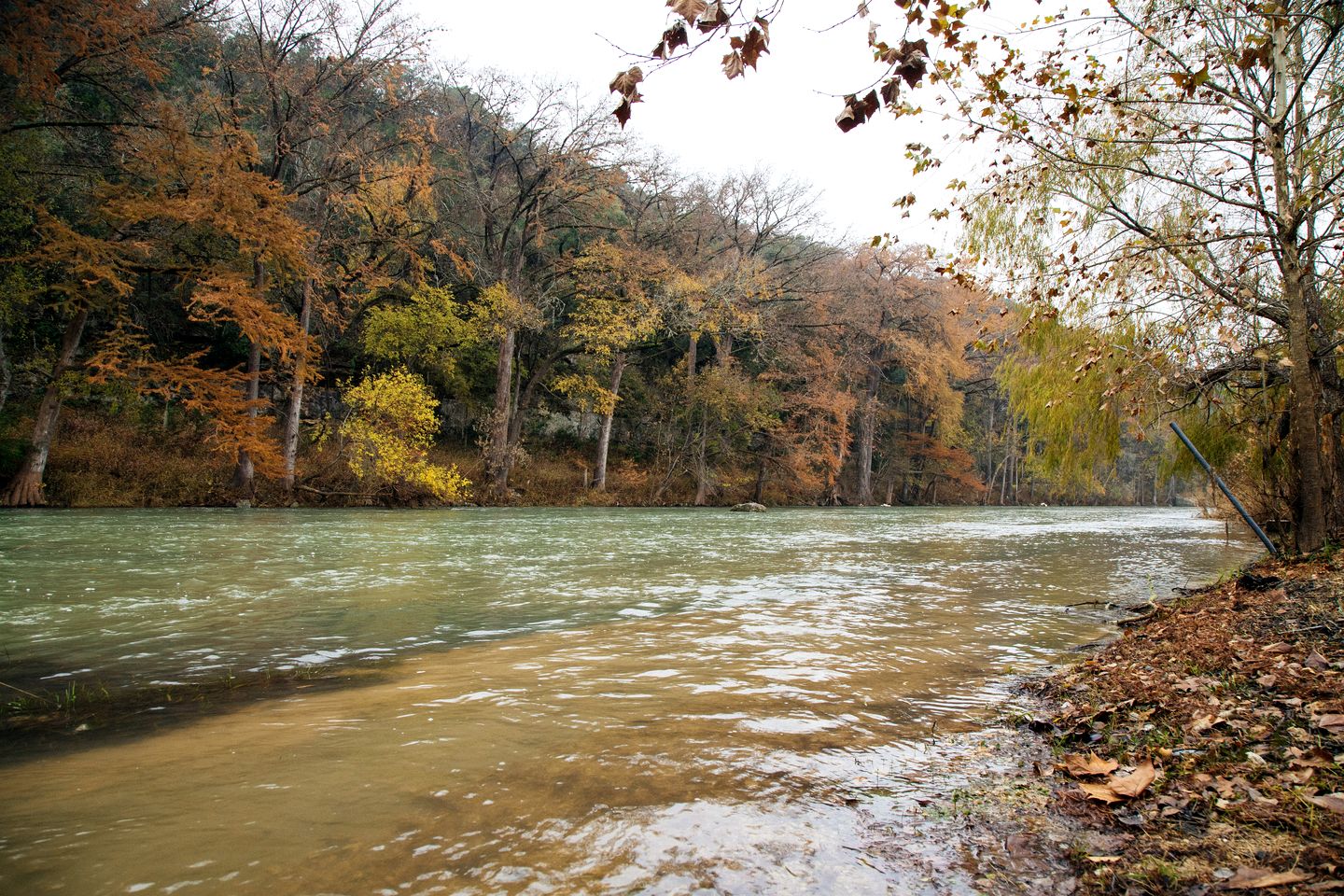 Spacious Cabin Rental Overlooking the Guadalupe River near Austin, Texas