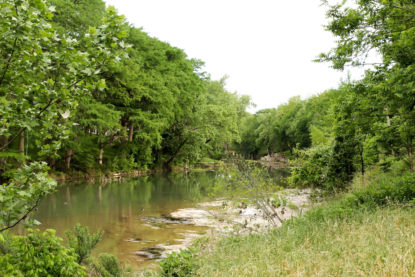 Riverfront Cabin Rental near Canyon Lake in New Braunfels, Texas