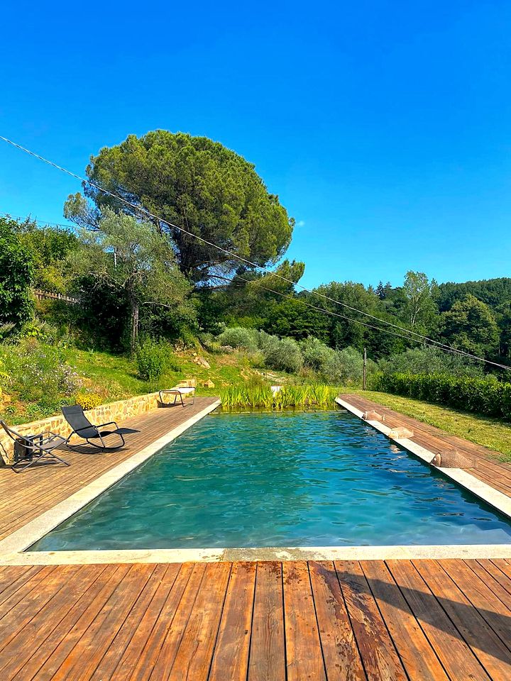 Stunning Bell Tent for a Glamping Getaway near Grosseto in Tuscany