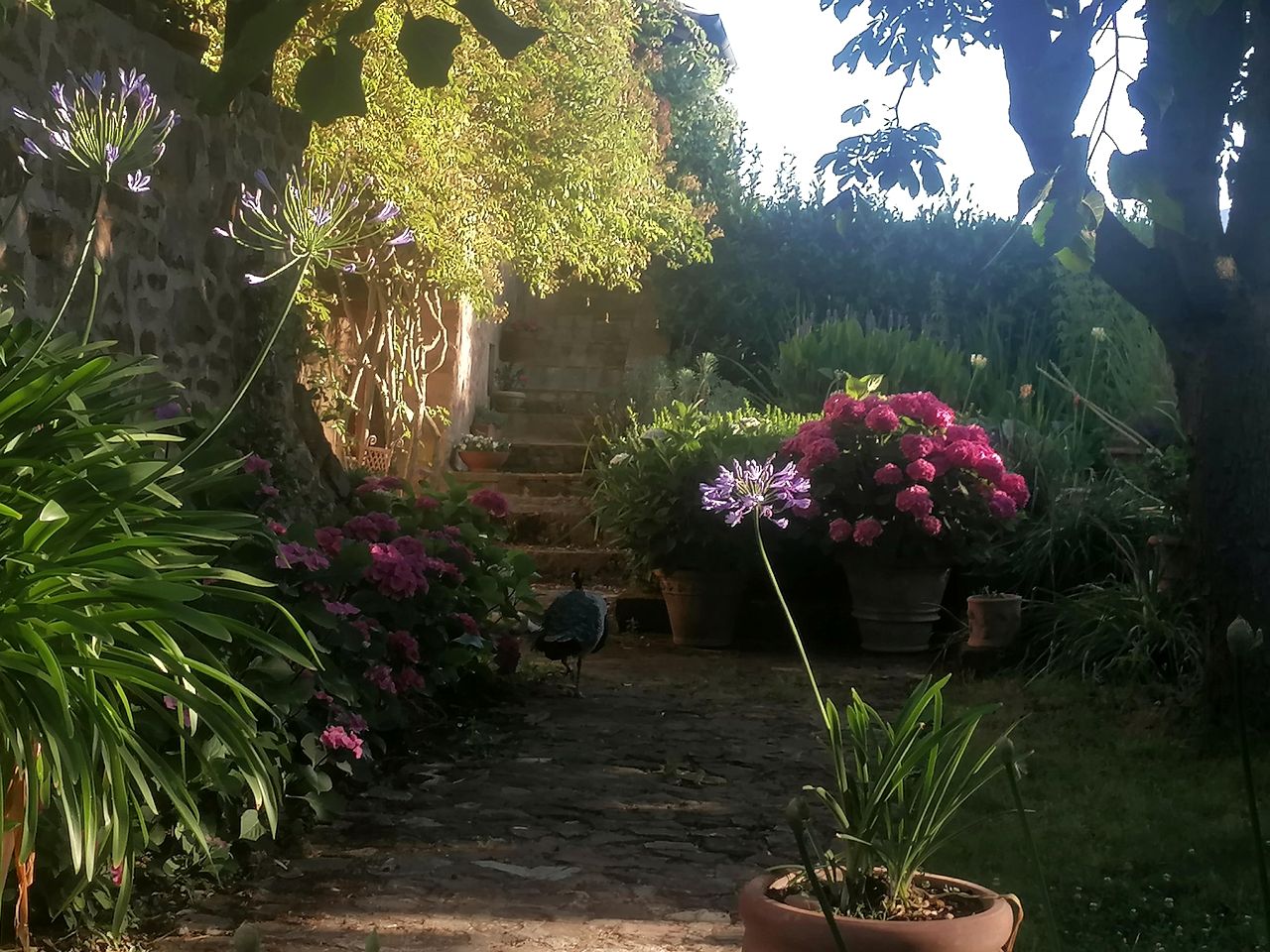 Romantic Bell Tent Rental with a Pristine Swimming Pool in Grosseto, Tuscany