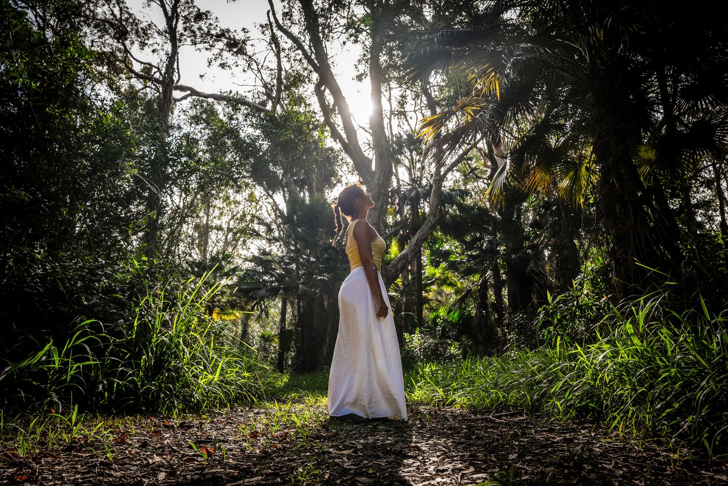 Luxury Glamping Tent with Ensuite Bathroom near Noosa in Queensland