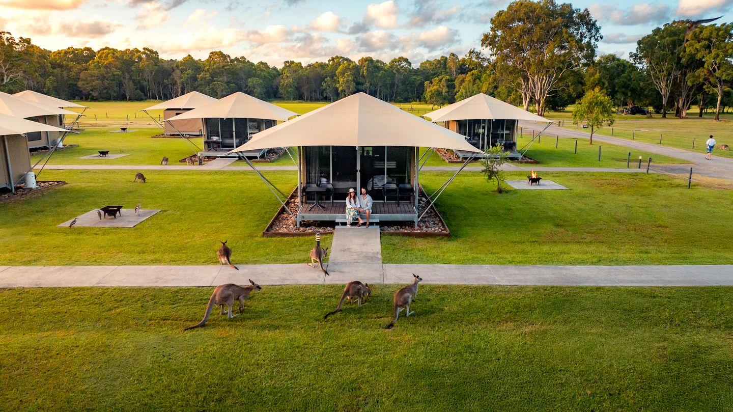 Safari Tents (Australia, Boreen Point, Queensland)
