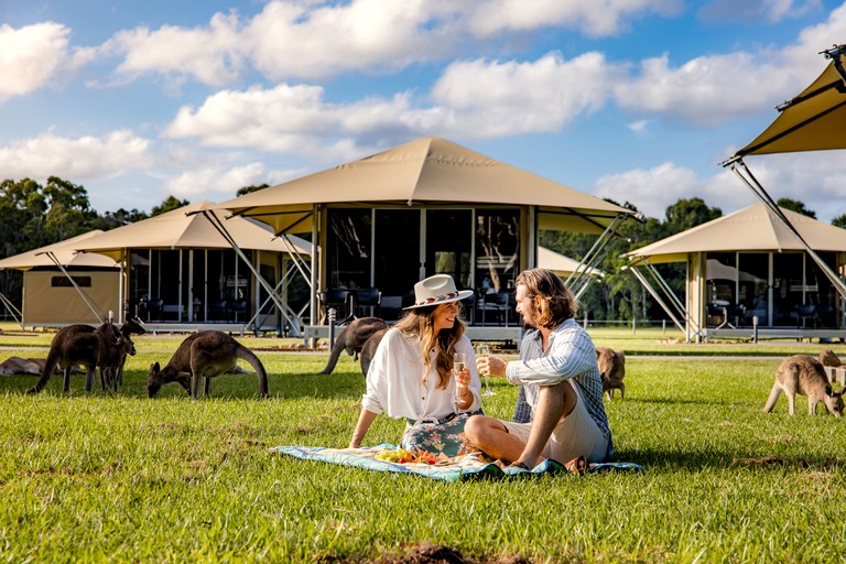 Safari Tents (Australia, Boreen Point, Queensland)