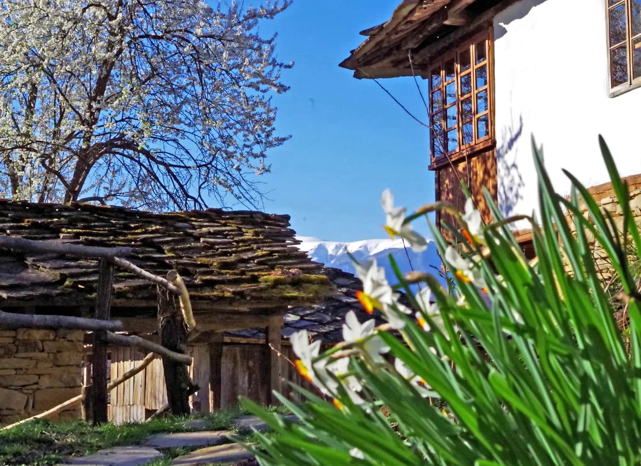 Incredible Cabin Getaway with Indoor and Outdoor Fireplaces in Selishte, Bulgaria