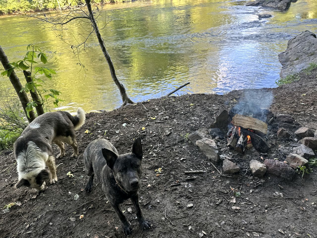 Charming Yurt Getaway on the Edge of the Nantahala Forest, North Carolina