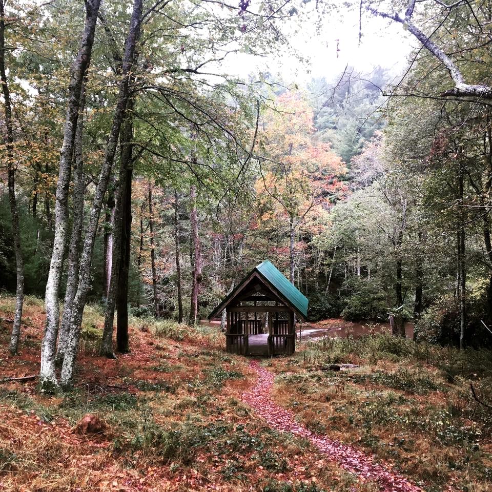 Rustic Cozy Cabin on the Little River in Sparta, North Carolina