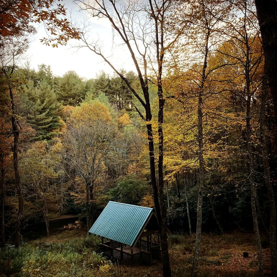 Rustic Cozy Cabin on the Little River in Sparta, North Carolina