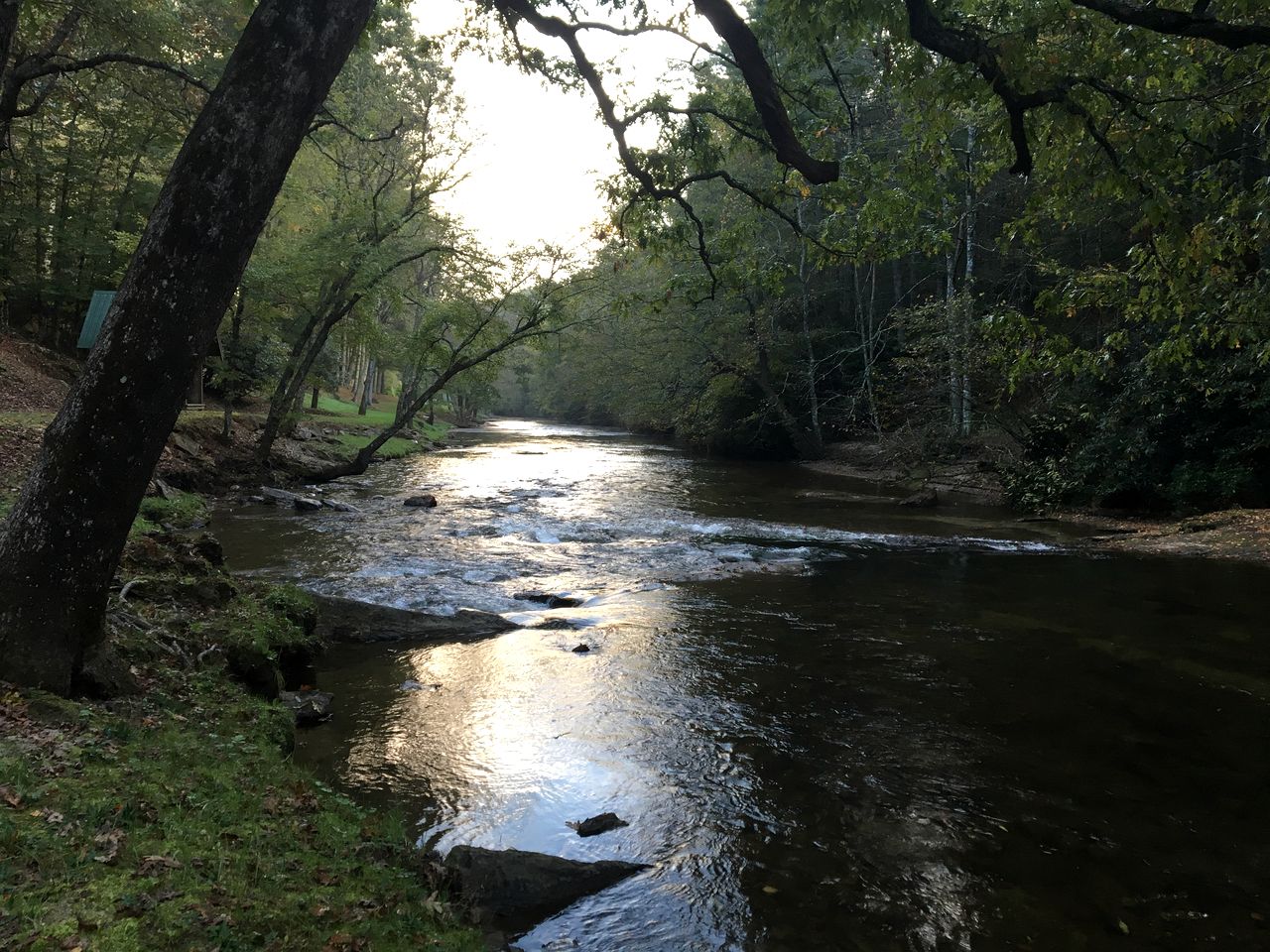 Rustic Cozy Cabin on the Little River in Sparta, North Carolina