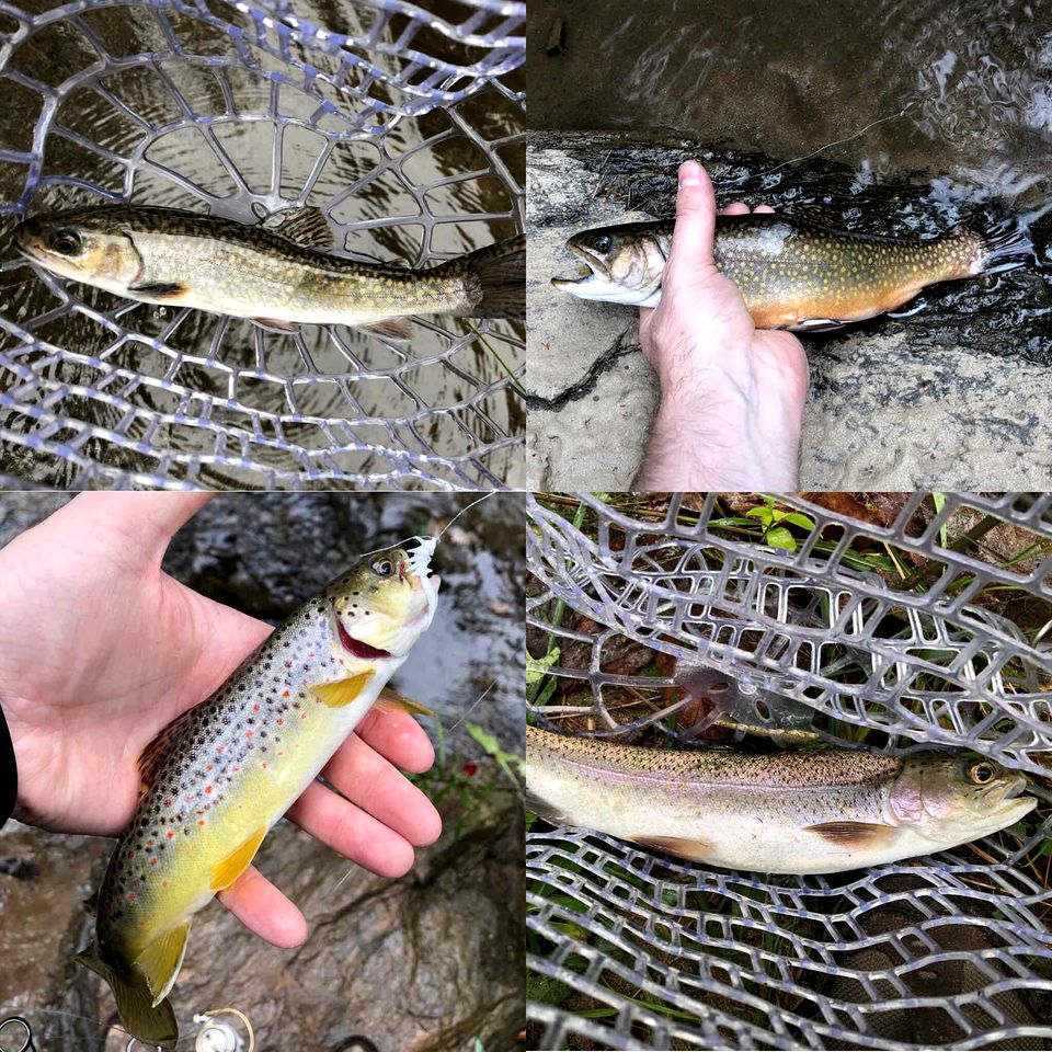 Rustic Cozy Cabin on the Little River in Sparta, North Carolina