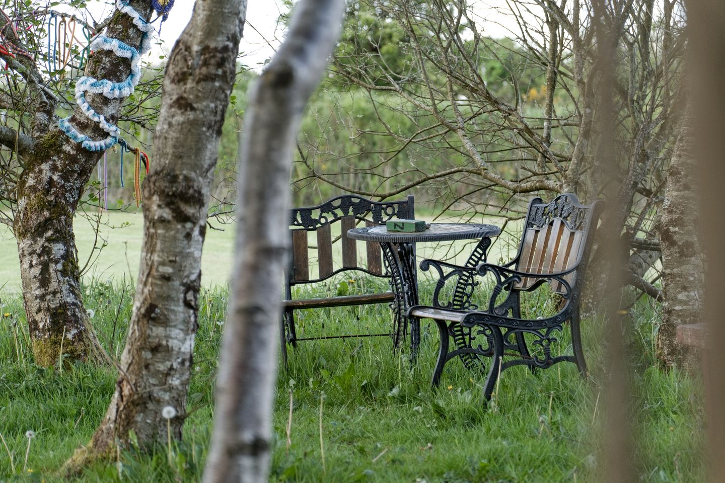 Cozy Dog-Friendly Yurt for a Relaxing Getaway near Charlestown, Ireland