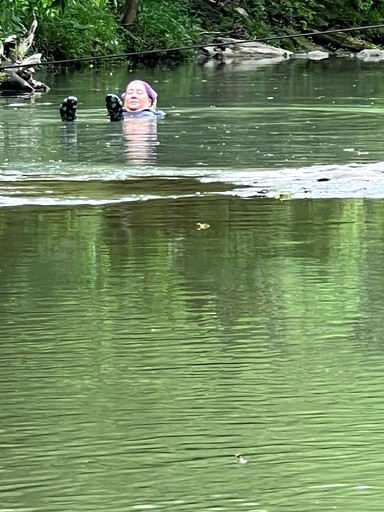 Tree Houses (United States of America, Germantown, Kentucky)