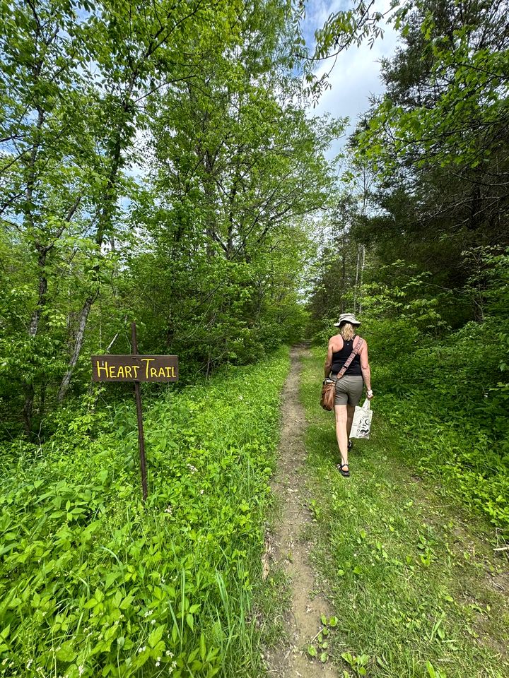 Enchanting Tree House with a Slide on 200 Acres for a Family Adventure in Germantown, Kentucky