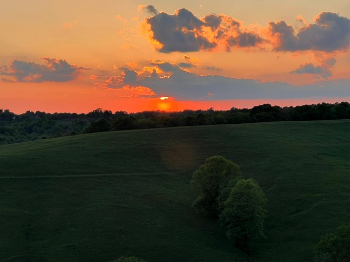 Tree Houses (United States of America, Germantown, Kentucky)