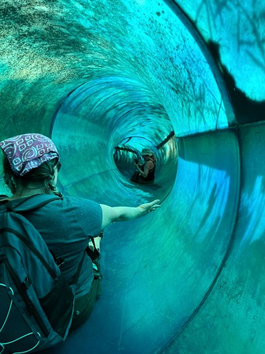 Tree Houses (United States of America, Germantown, Kentucky)