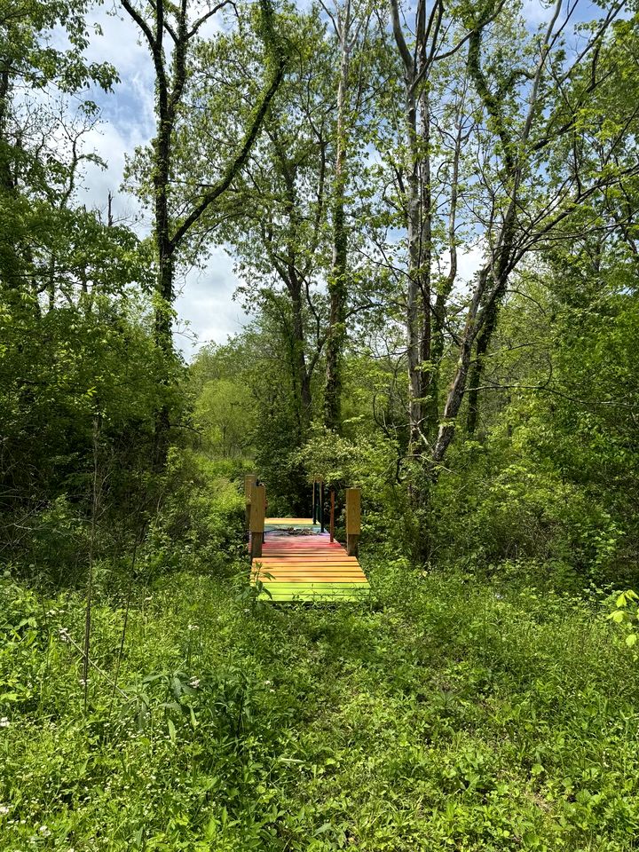 Enchanting Tree House with a Slide on 200 Acres for a Family Adventure in Germantown, Kentucky