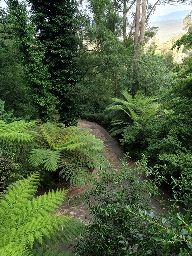 Tree Houses (Australia, Kalorama, Victoria)