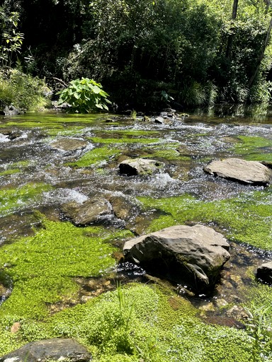 Cabins (Australia, Bellbrook, New South Wales)