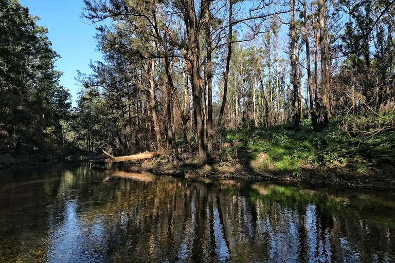 Cabins (Australia, Bellbrook, New South Wales)
