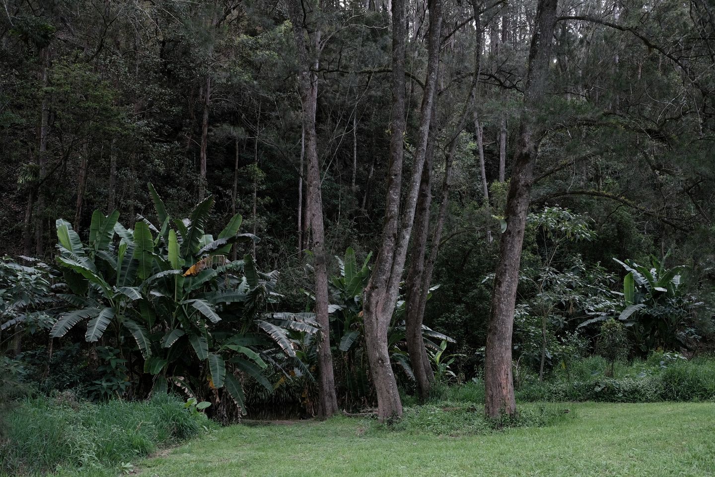 Secluded Bellbrook Accommodation Ideal for a Romantic Getaway in New South Wales