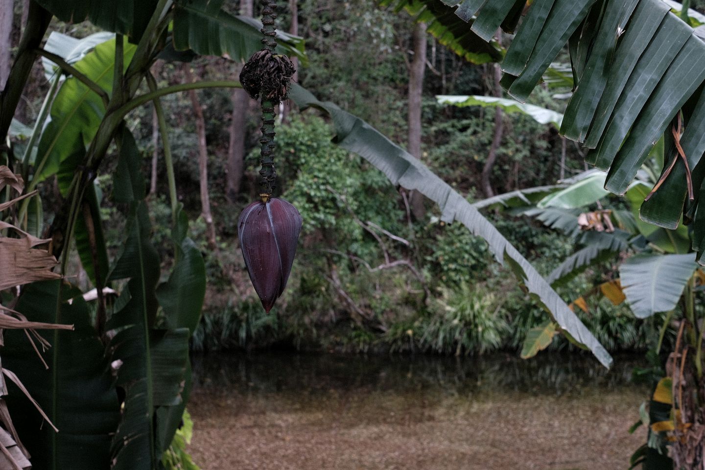 Secluded Bellbrook Accommodation Ideal for a Romantic Getaway in New South Wales