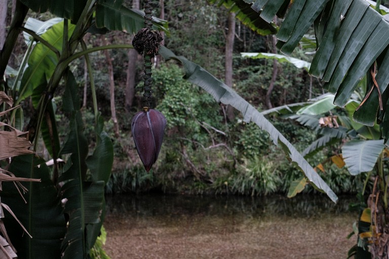 Cabins (Australia, Bellbrook, New South Wales)