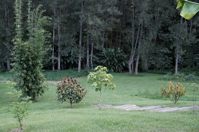 Cabins (Australia, Bellbrook, New South Wales)