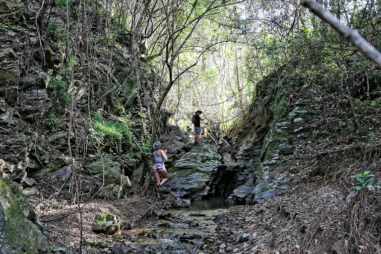 Cabins (Australia, Bellbrook, New South Wales)