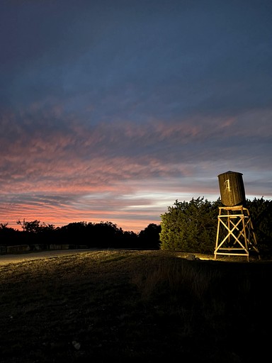 Tree Houses (United States of America, Dripping Springs, Texas)