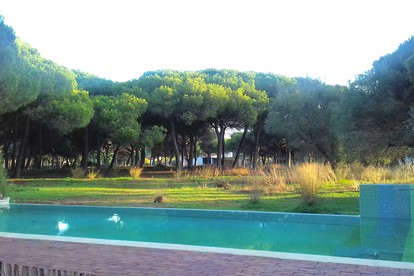 Family Getaway in Unique Tree House Accommodation near Cadiz, Spain photo 5