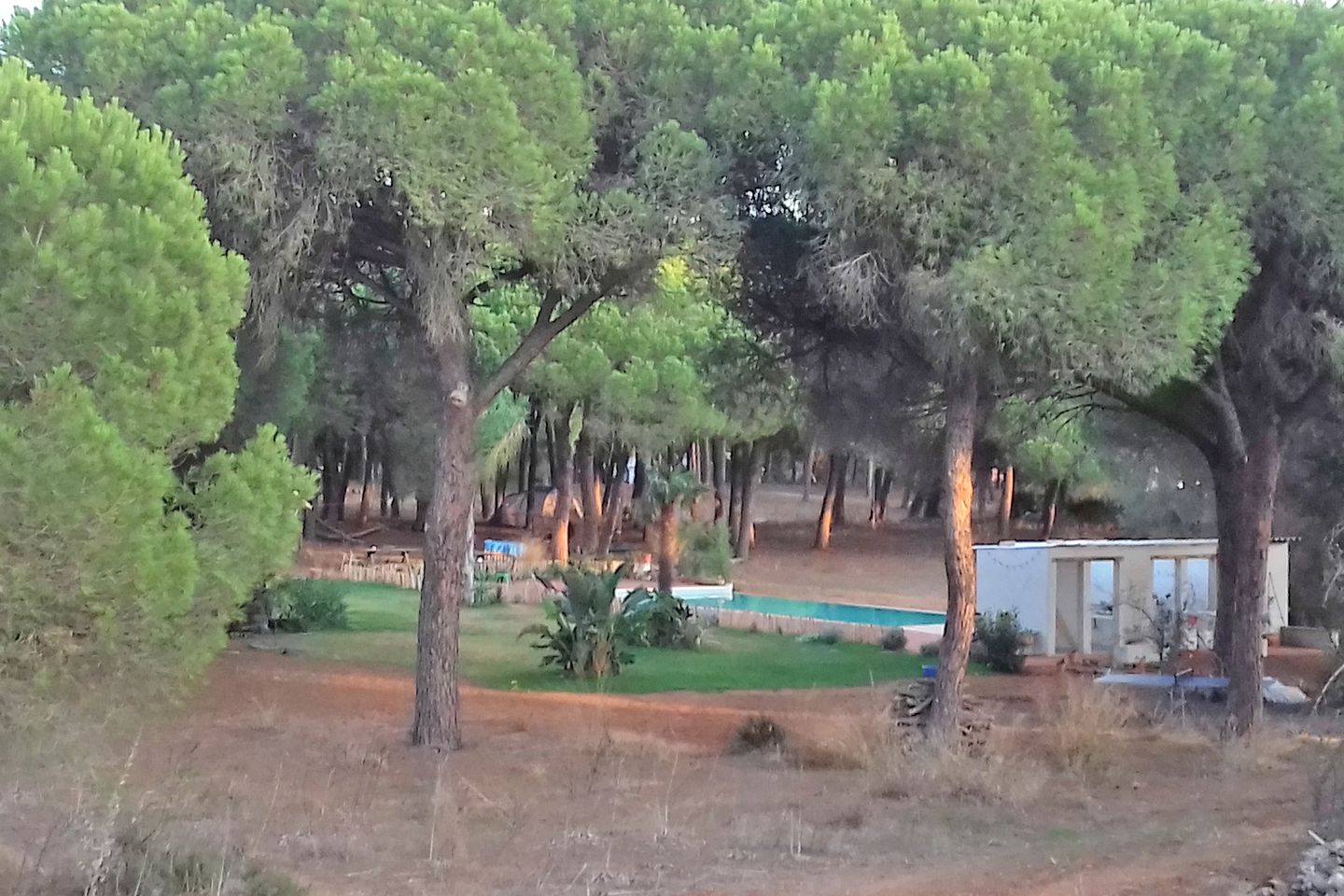 Family Getaway in Unique Tree House Accommodation near Cadiz, Spain