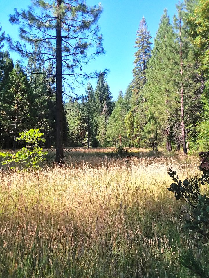 Serene Cabin Getaway with a Charcoal BBQ near Tahoe National Forest, California