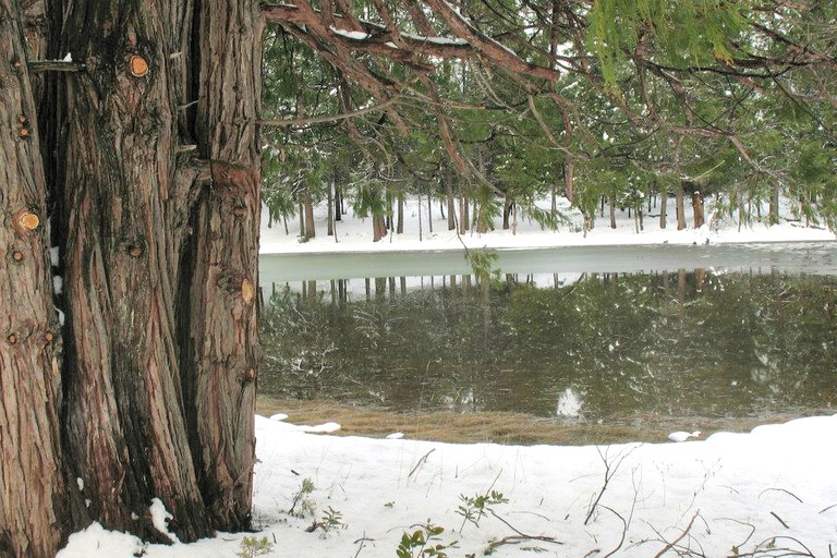 Cabins (Nevada City, California, United States)