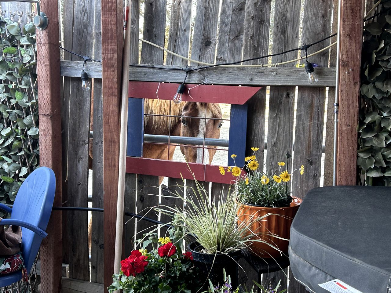 Charming Warner Springs Accommodation Ideal for a Romantic Getaway in California