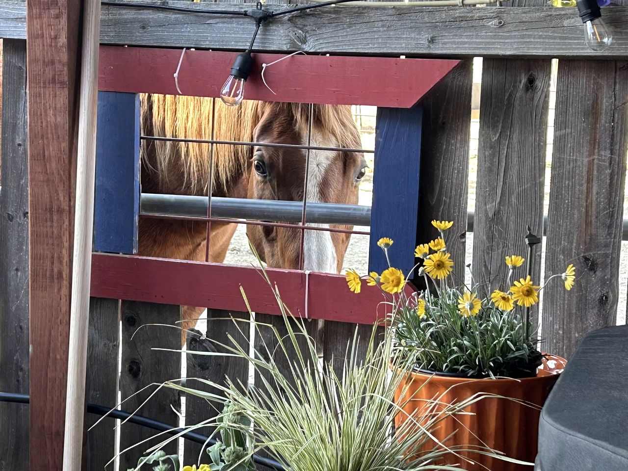 Charming Warner Springs Accommodation Ideal for a Romantic Getaway in California