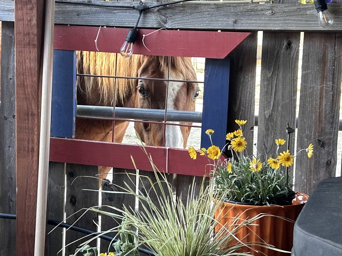 Barns (United States of America, Warner Springs, California)