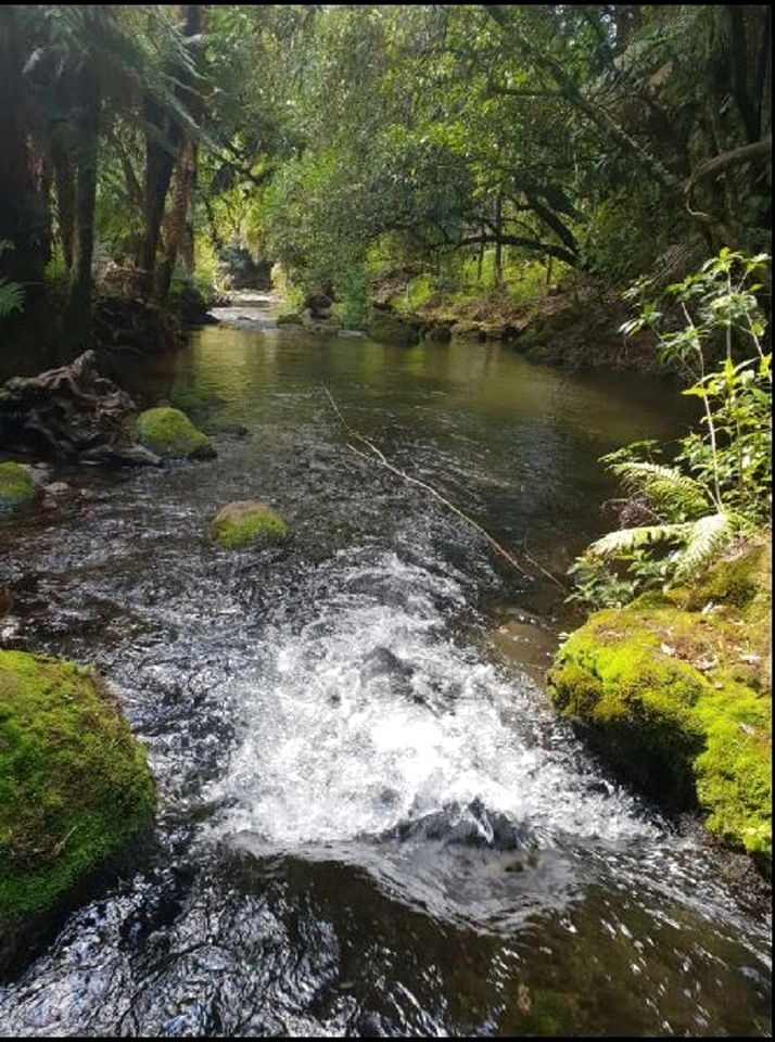 Gorgeous Rotorua Accommodation Perfect for Luxury Glamping, North Island