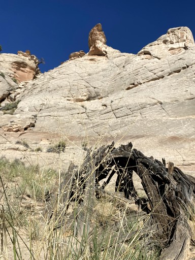 Containers (United States of America, Page, Arizona)