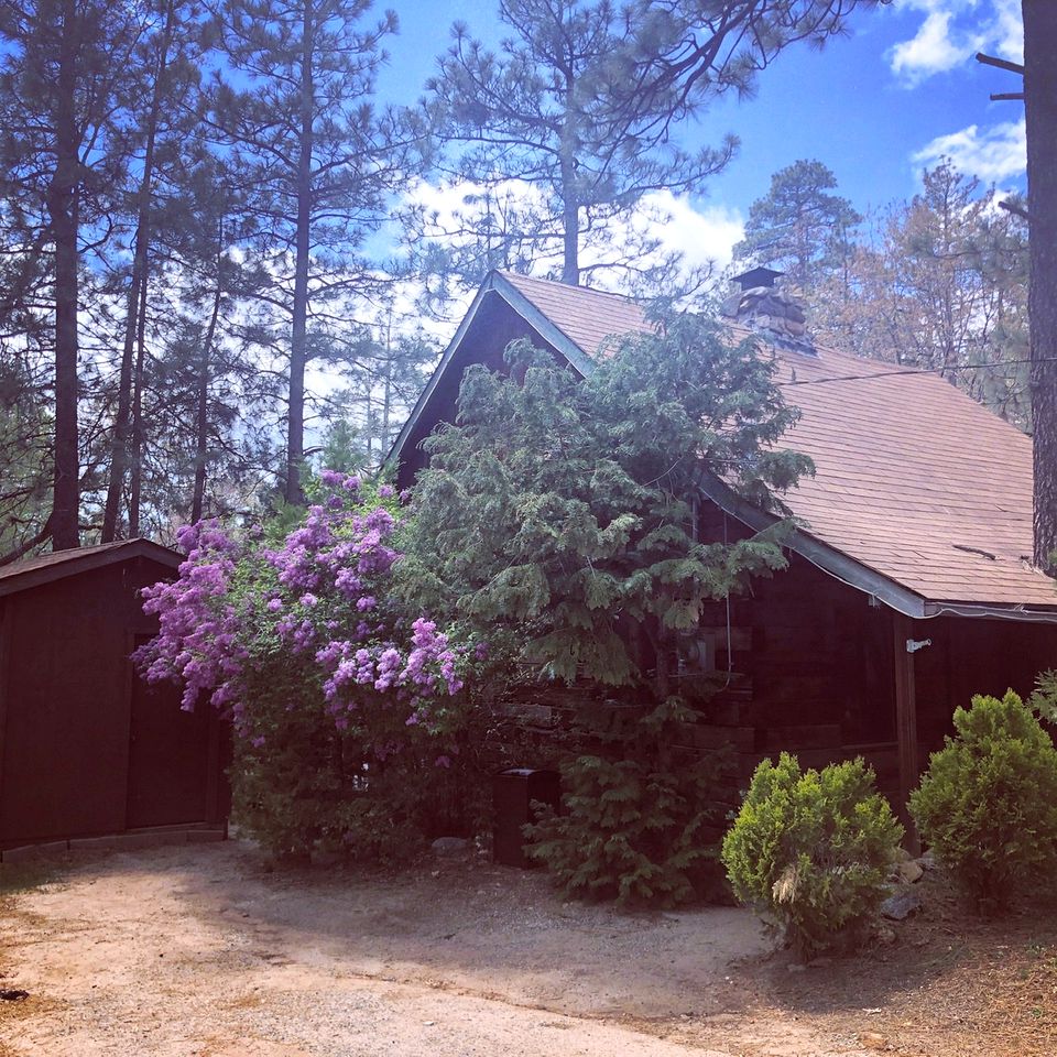 Gorgeous Idyllwild Cabin Perfect for Mountain Getaways from Los Angeles