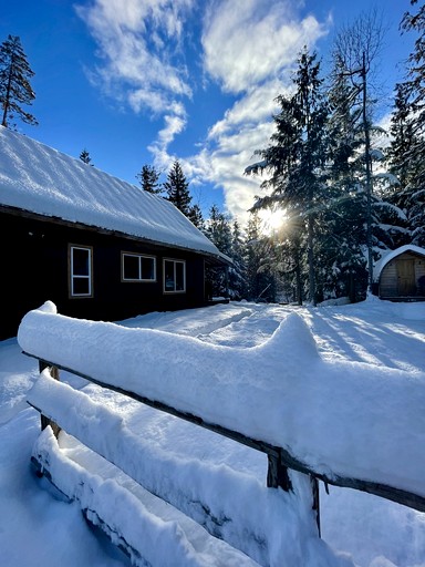 Cabins (Canada, Salmon Arm, British Columbia)