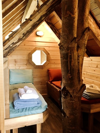 Cabins (Canada, Salmon Arm, British Columbia)