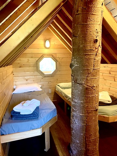 Cabins (Canada, Salmon Arm, British Columbia)