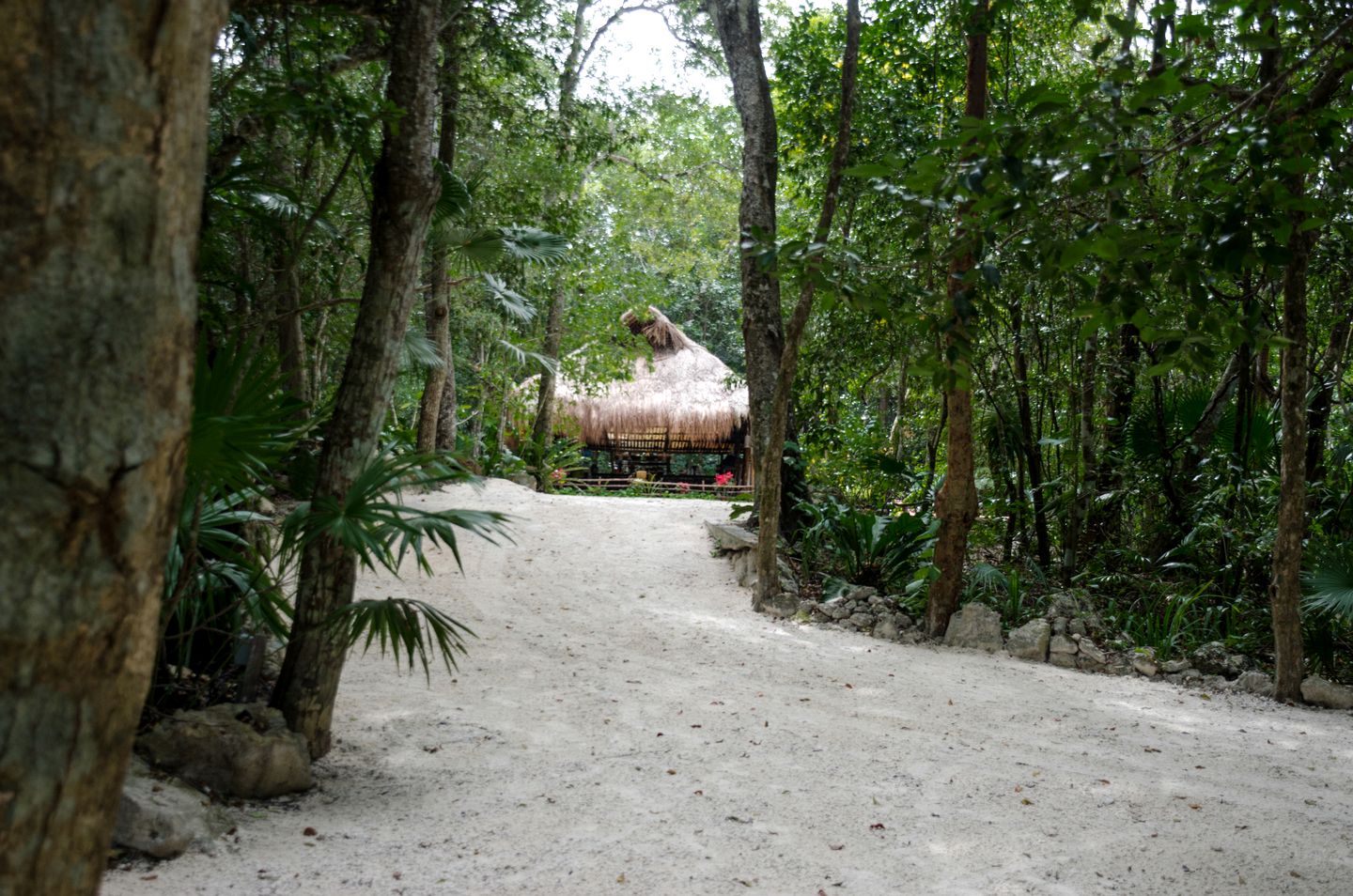 Colorful Bell Tent Rental Ideal for Glamping in Mexico