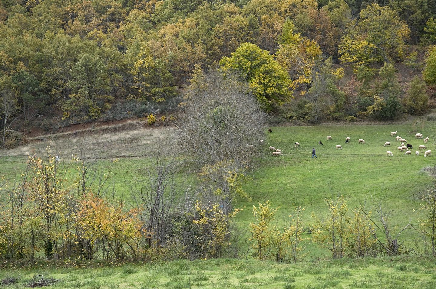 Charming Cabin Rental near Montesinho Natural Park for Romantic Holidays in Portugal