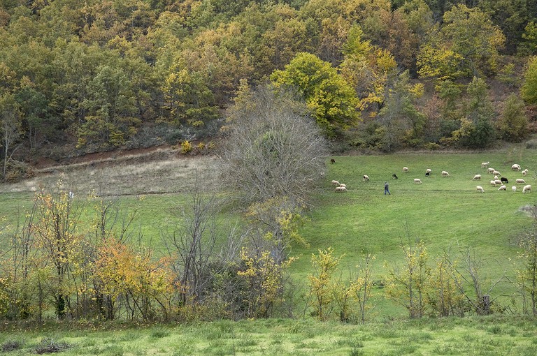 Cabins (Portugal, Bragança, Bragança District)