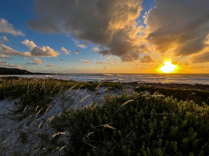 Cabins (South Africa, Cape Town, Western Cape)