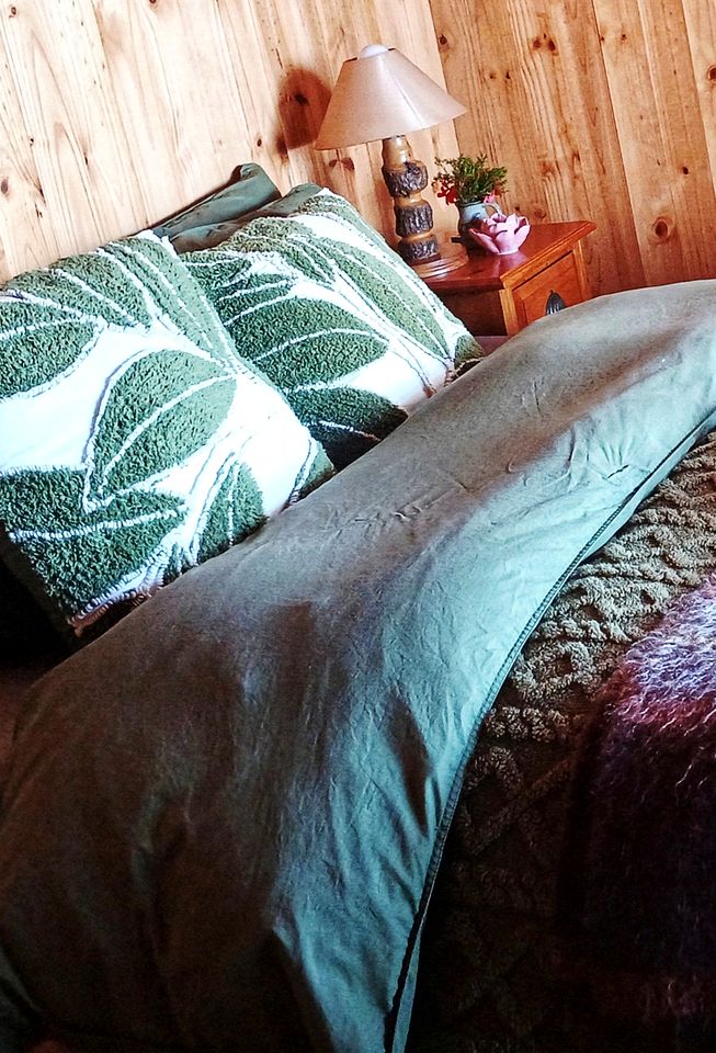 Gorgeous Treetop Cabin Rental Perfect for Glamping near Cape Town