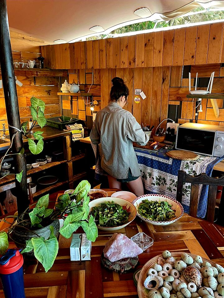 Gorgeous Treetop Cabin Rental Perfect for Glamping near Cape Town