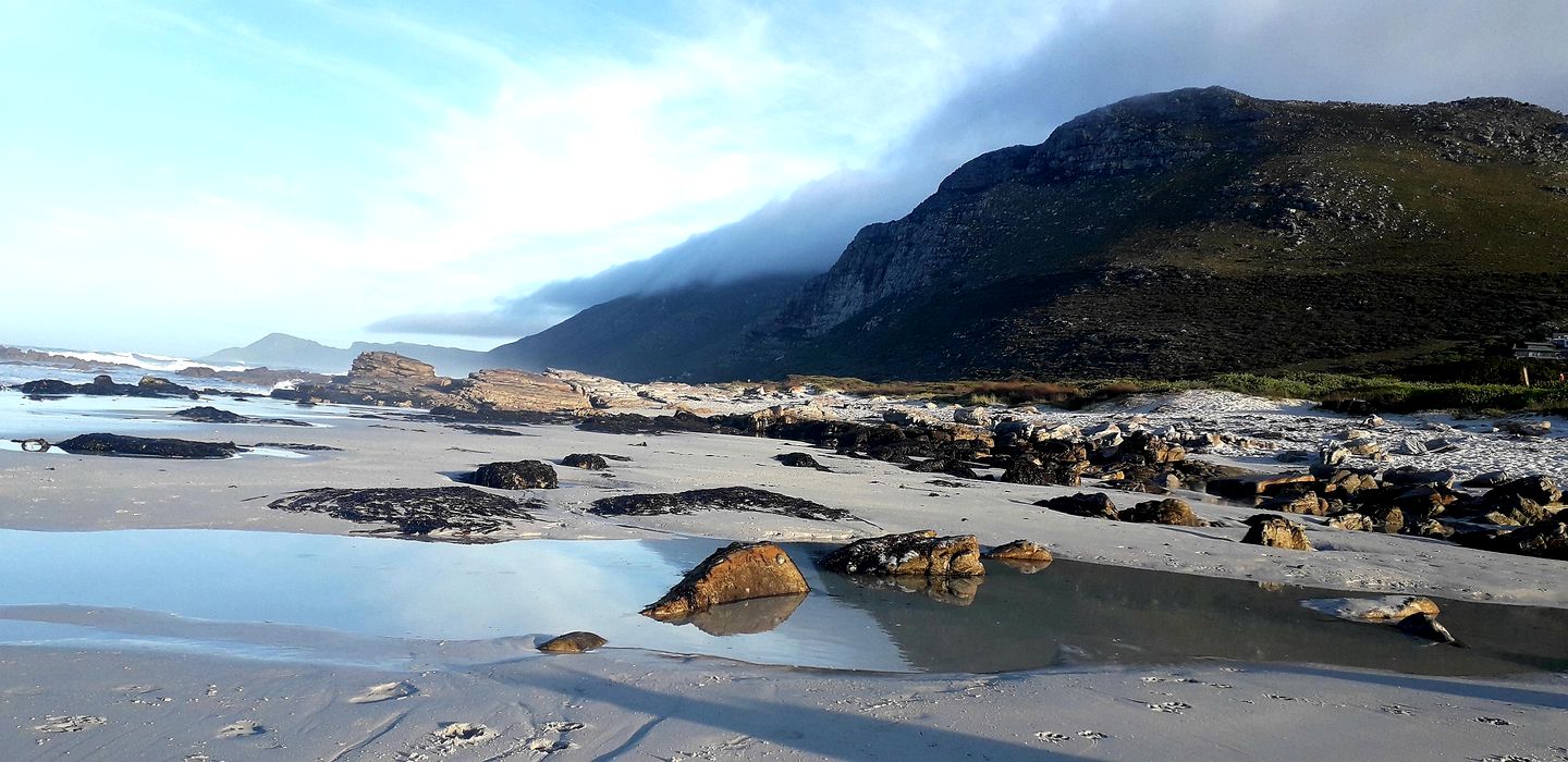 Gorgeous Treetop Cabin Rental Perfect for Glamping near Cape Town
