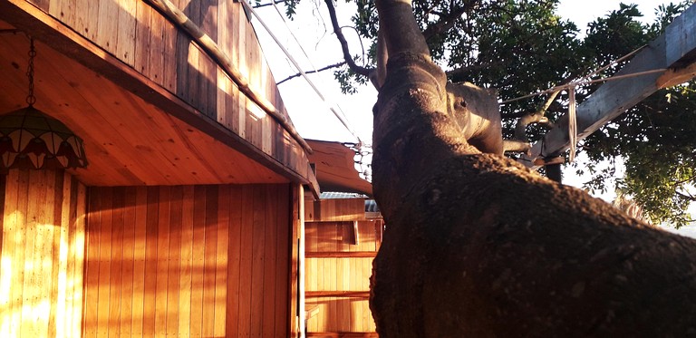 Cabins (South Africa, Cape Town, Western Cape)
