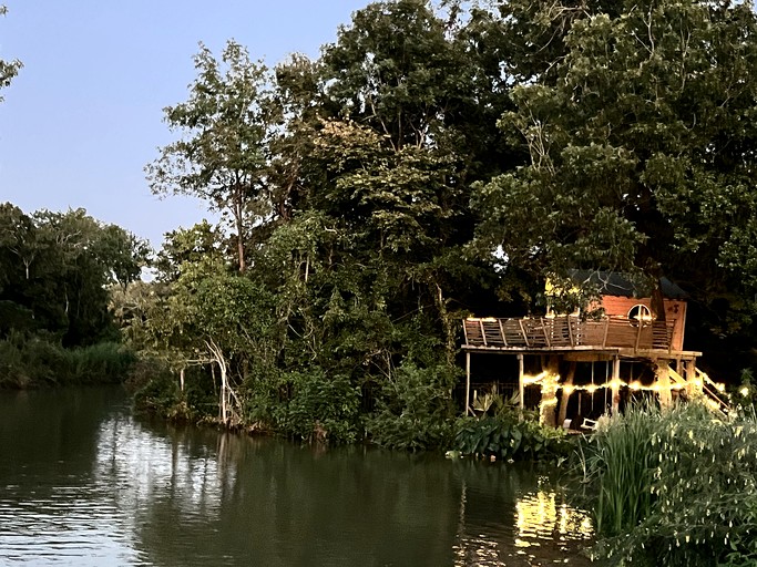 Tree Houses (United States of America, Willis, Texas)